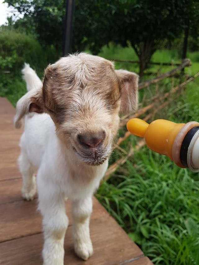 3BF5A310 67D4 434C 9697 CD86661160F6